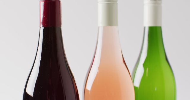 Assorted Wine Bottles with Varied Colors on White Background - Download Free Stock Images Pikwizard.com