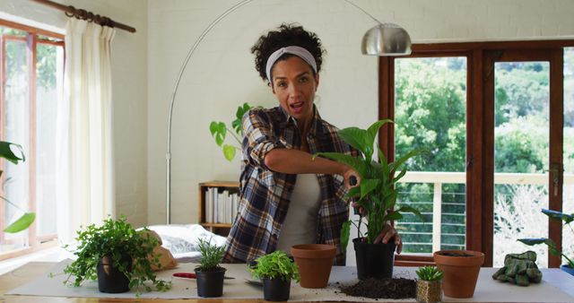 Woman Caring for Plants Indoors with Natural Light - Download Free Stock Images Pikwizard.com