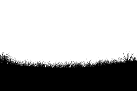 transparent vector illustration of grass with copy space - Download Free Stock Videos Pikwizard.com