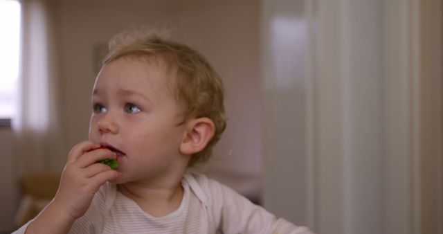 Curious Baby Eating Strawberry at Home - Download Free Stock Images Pikwizard.com