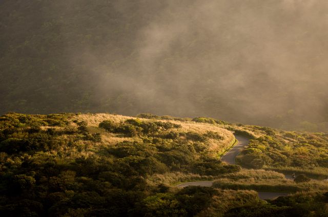 Winding road meanders through misty mountain landscape bathed in warm sunset light. Serene and tranquil, perfect for concepts related to nature journeys, travel adventure, or peaceful retreats. Suitable for website banners, travel blogs, and environmental awareness campaigns.