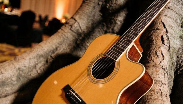 Leaning natural wood acoustic cutaway guitar against tree trunk with warm evening bokeh