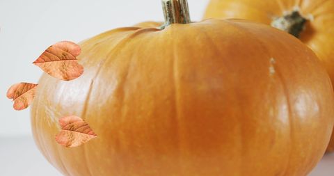 Falling Autumn Leaves Landing on Pumpkins - Download Free Stock Images Pikwizard.com