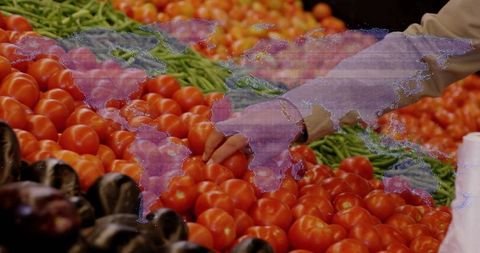 Shoppers hand selecting ripe tomatoes at busy produce stall with digital world map overlay