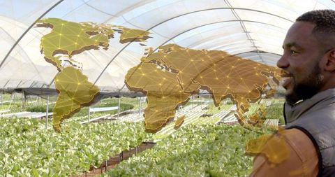 Hydroponics greenhouse farmer analyzing global horticulture innovations