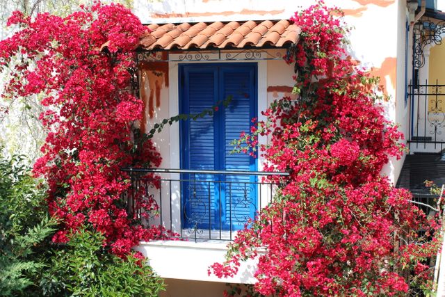 Vibrant red bougainvillea enlivens a charming Mediterranean balcony with blue shutters and a terracotta roof. Ideal for promoting travel destinations, garden inspiration, and outdoor decor products.