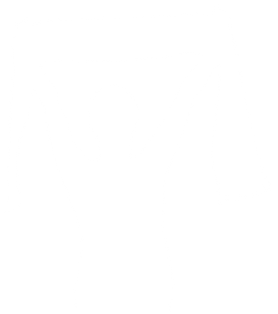 Digital Silhouette of Female Supporter with Scarf on Transparent Background - Download Free Stock Videos Pikwizard.com