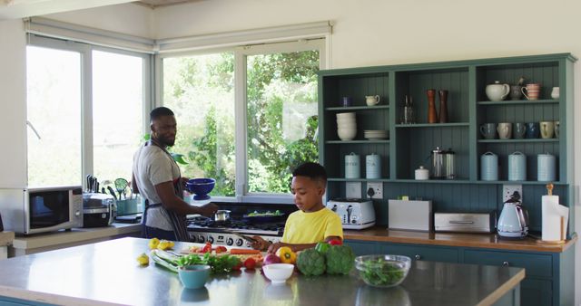 Father and Son Cooking Together in Bright, Modern Kitchen - Download Free Stock Images Pikwizard.com