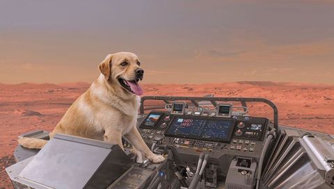 Perching golden labrador pilot resting paws on mars rover cockpit over dusty red plain