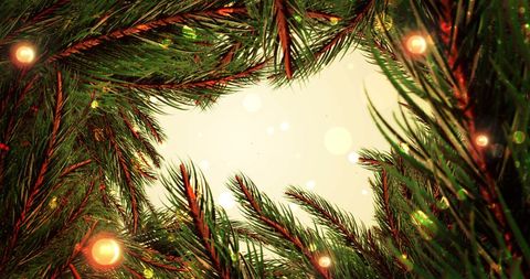 Festive Christmas Frame Featuring Lights and Fir Tree Branches - Download Free Stock Images Pikwizard.com