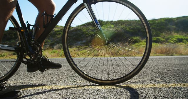 Cyclist Riding Road Bike on Sunny Day Along Scenic Route - Download Free Stock Images Pikwizard.com