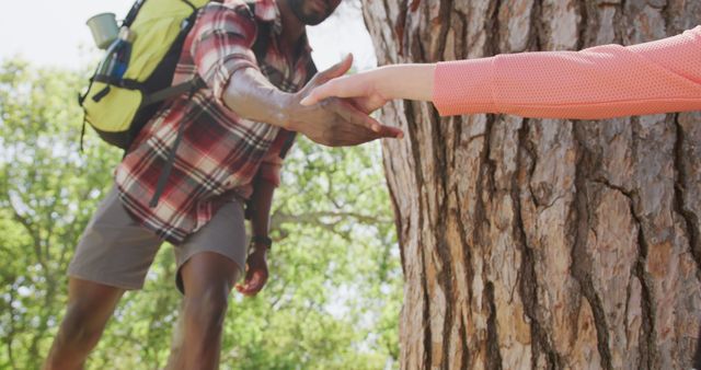 Hiker Helping Friend Climb Tree Trunk in Forest - Download Free Stock Images Pikwizard.com