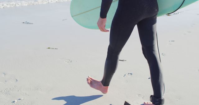 Surfer in wetsuit carrying surfboard walking on beach - Download Free Stock Images Pikwizard.com