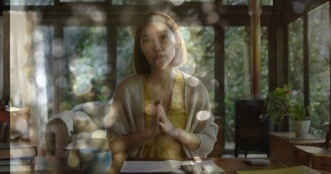 Woman Presenting Ideas from Home Office with Natural Light