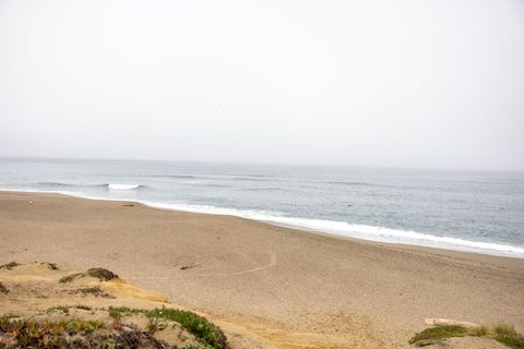 Stretching Foggy Beach Showing Gentle Waves and Coastal Dunes