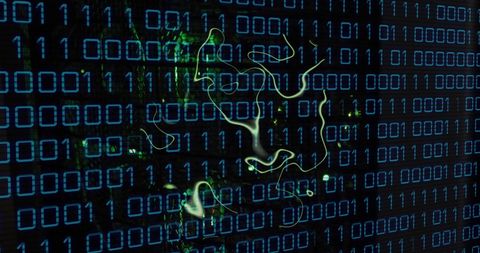 Artificial Intelligence Data Network Computing - Download Free Stock Images Pikwizard.com