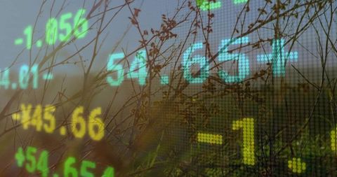 Neon stock ticker overlaying meadow with dried grass, financial data blending with nature