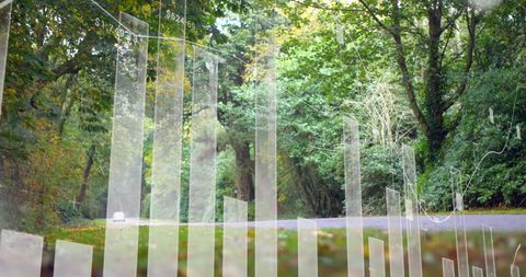 Forested Road with Digital Graph Overlays Displaying Business Growth