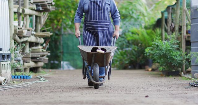 Caucasian male gardener walking with wheelbarrow at garden center. working at bonsai nursery, small specialist business.