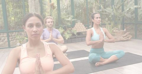 Group Yoga Practicing Meditation in Sunlit Greenhouse Studio with Indoor Plants and Mats