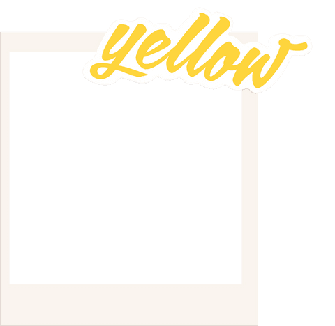 minimalist instant film frame with yellow cursive text transparent background - Download Free Stock Videos Pikwizard.com