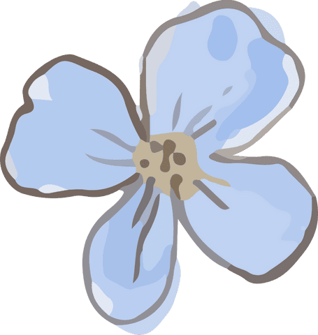 Minimalist light blue vector flower on transparent background