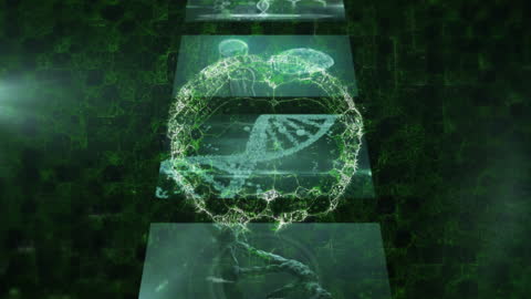 Futuristic Brain and DNA Data Technology Animation in Green Hue
