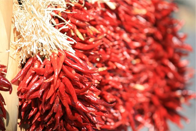 Photo depicts a bunch of red chili peppers drying outdoors under the sunlight. The vibrant red color of the chili peppers contrasts with the natural straw used to hang them. Ideal for use in food-related blogs, agricultural content, organic food promotions, spice advertisements, and cooking tutorials.