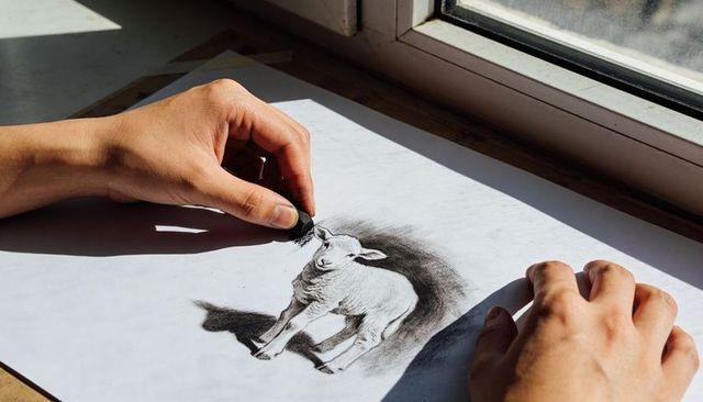 Artist hands drawing charcoal lamb sketch on paper by sunlit window with realistic shading