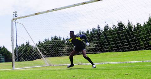 Focused Goalkeeper on Sunny Soccer Field - Download Free Stock Images Pikwizard.com