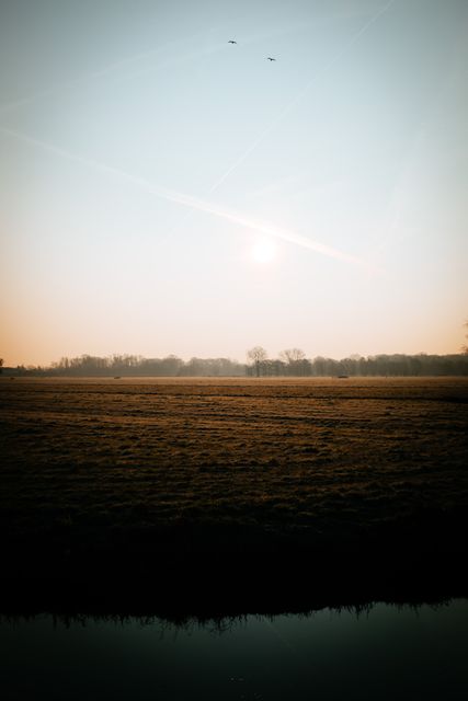 Peaceful Sunrise Over Expansive Grassland Field - Download Free Stock Images Pikwizard.com