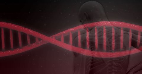 3D Red DNA Strand Over Human Body in Dark Background