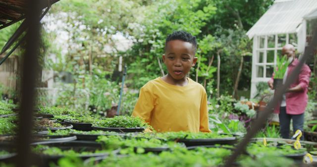 Boy curiously exploring vibrant garden, with mature man tending plants in background. Ideal for themes of nature discovery, childhood curiosity, gardening, outdoor activities, learning experiences, and bond between generations.