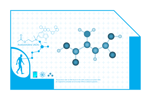 Digital Blueprint of Molecular Connections on Transparent Background - Download Free Stock Videos Pikwizard.com