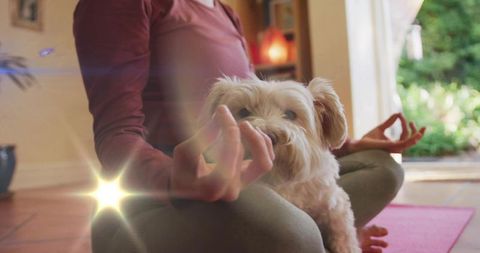 Woman meditating with cream dog on yoga mat at home in sunlight and candlelight