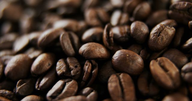 The close-up of roasted coffee beans showcases their rich brown color and detailed texture. Perfect for usage in coffee shop promotions, gourmet coffee advertisements, or as a background for caffeine-themed blogs and websites. Highlights the quality and appeal of finely roasted coffee, making it appealing for designs targeting coffee enthusiasts and businesses.