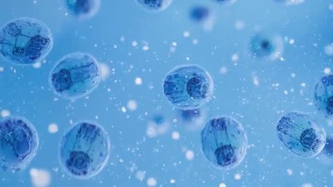 Microscopic View of Drifting Bioengineered Capsules