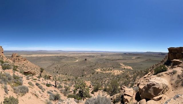 Panoramic desert valley overlooking sandstone outcrops, winding dirt tracks, distant mesas