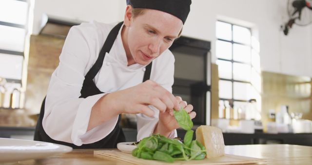 Professional Chef Cooking Delicious Meal in Kitchen - Download Free Stock Images Pikwizard.com