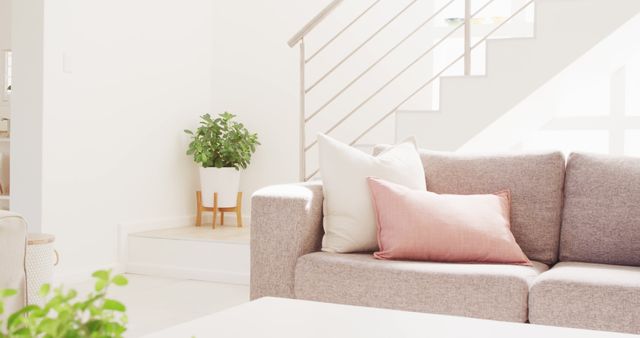 Bright and modern living room with a comfortable sofa adorned with pink and white cushions. Intimate indoor plants enhance the tranquil ambiance. Ideal for home decor blogs, interior design websites, or real estate listings showcasing elegant and stylish living spaces.