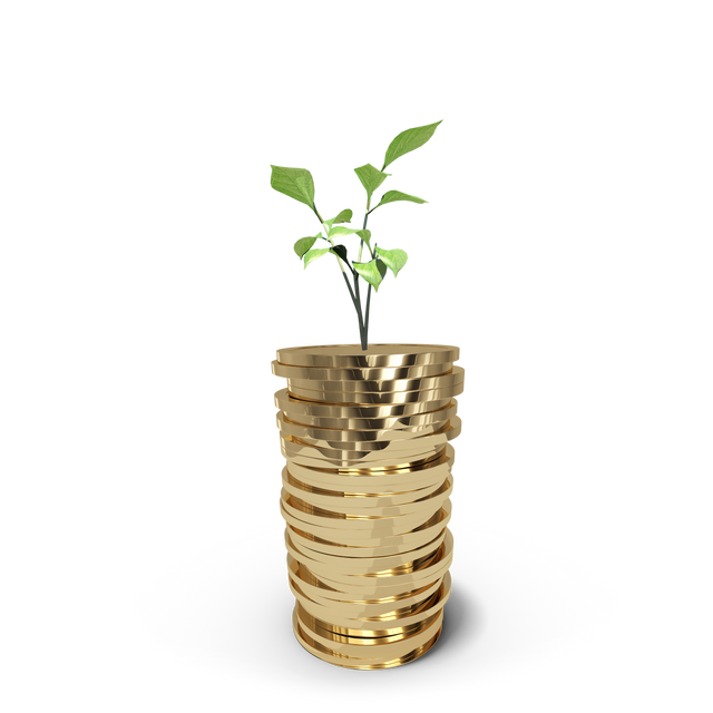 Stack of Gold Coins with Growing Plant: Investment Illustration and Transparent Background - Download Free Stock Videos Pikwizard.com