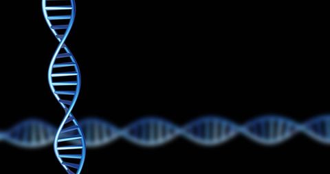 dna strands spinning seamlessly with copy space on black background - Download Free Stock Images Pikwizard.com