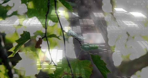 Displaying green serrated leaves with binary overlay, double exposure nature tech