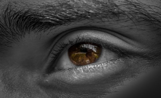 Detailed close-up image of a brown human eye reflecting an outdoor scene, ideal for concepts related to vision, observation, and human emotions. Useful in educational, medical, and psychological contexts or for art projects highlighting beauty in details.