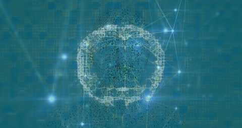 Digital Brain Network Animation with Global Connections