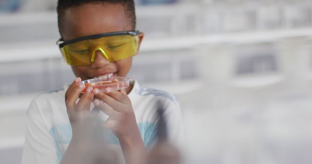 Young boy is examining petri dish in a science laboratory, wearing yellow safety goggles. Ideal for content related to education, STEM activities, children's science programs, curiosity in learning, and promoting young students' interest in science and exploration.