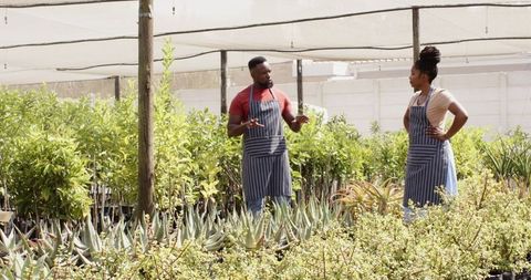 African American Gardeners Collaborating in Sustainable Nursery