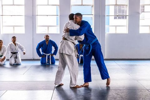 Martial Arts Grappling Techniques in Dojo Practice