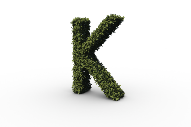 Letter K Made of Transparent Leaves Amid Dark Background - Download Free Stock Videos Pikwizard.com