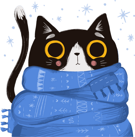 whimsical cat in blue scarf amid floating snowflakes with transparent background - Download Free Stock Videos Pikwizard.com